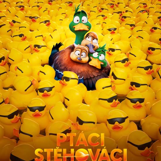 KINO: Ptáci stěhovaví 1